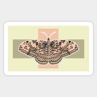 Pink butterfly Magnet